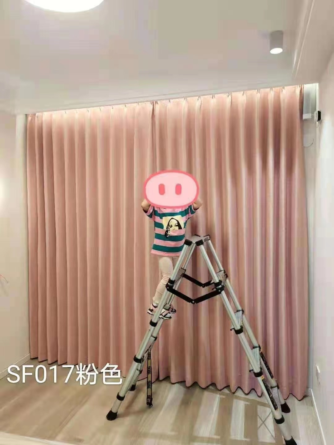 SF017粉色高机能窗帘